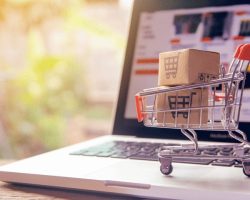 Online Retailer